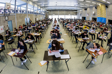 Trevianum Scholengroep