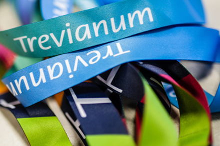 Trevianum Scholengroep